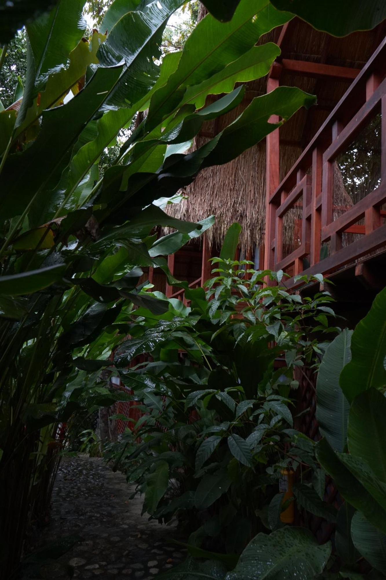 Bio Rio Hotel San Jerónimo 外观 照片
